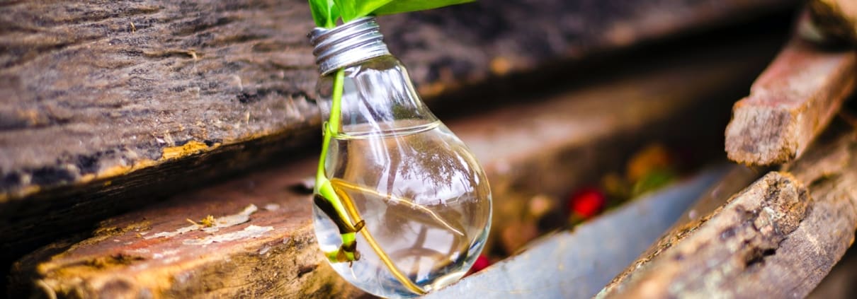 fostering innovation